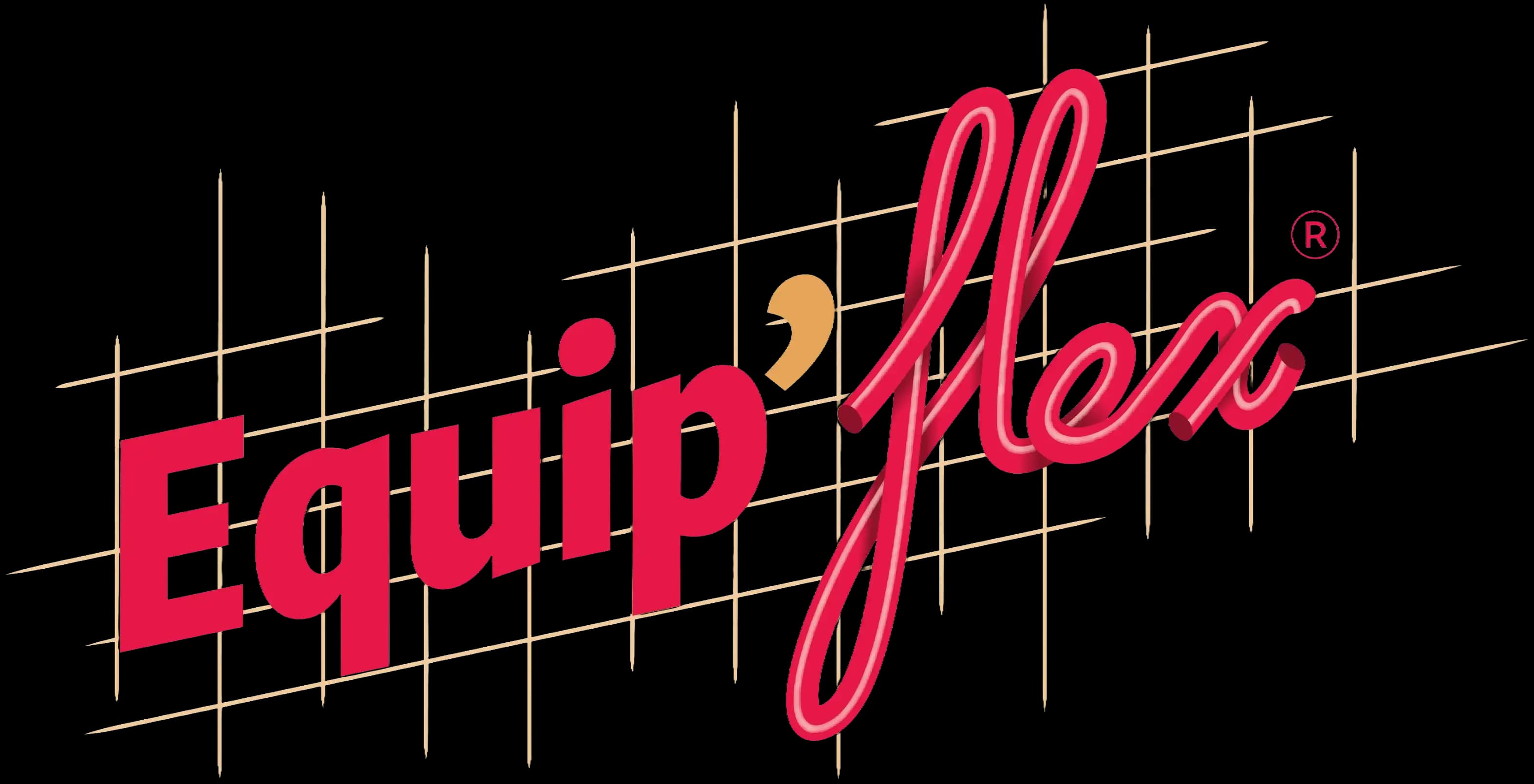 Logo Equip'Flex